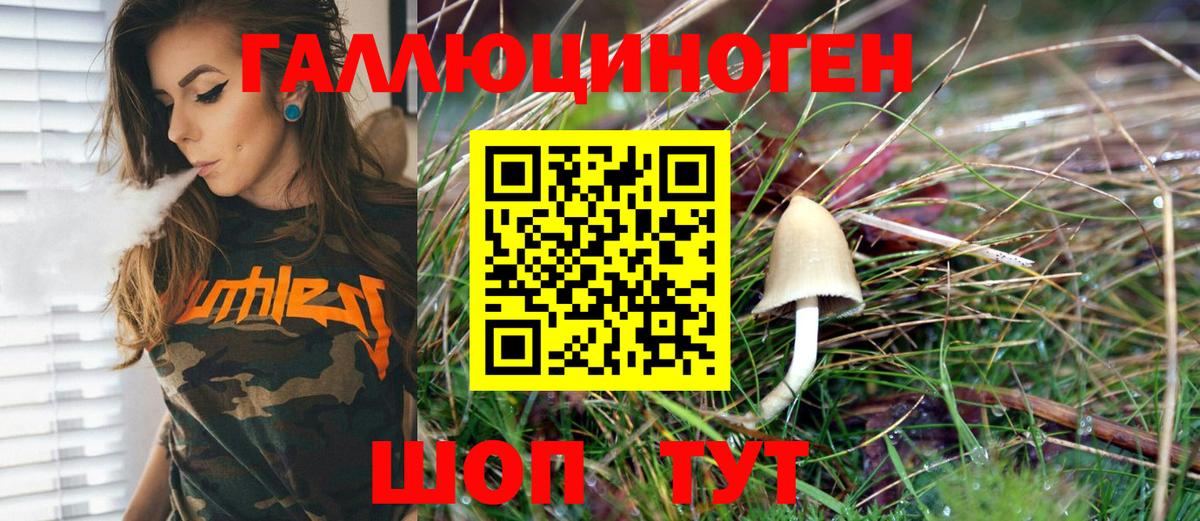 Псилоцибиновые грибы Psilocybine cubensis Тихвин
